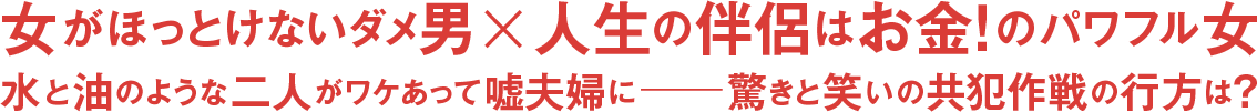 女がほっとけないダメ男 × 人生の伴侶はお金！のパワフル女 水と油のような二人がワケあって嘘夫婦に―驚きと笑いの共犯作戦の行方は？